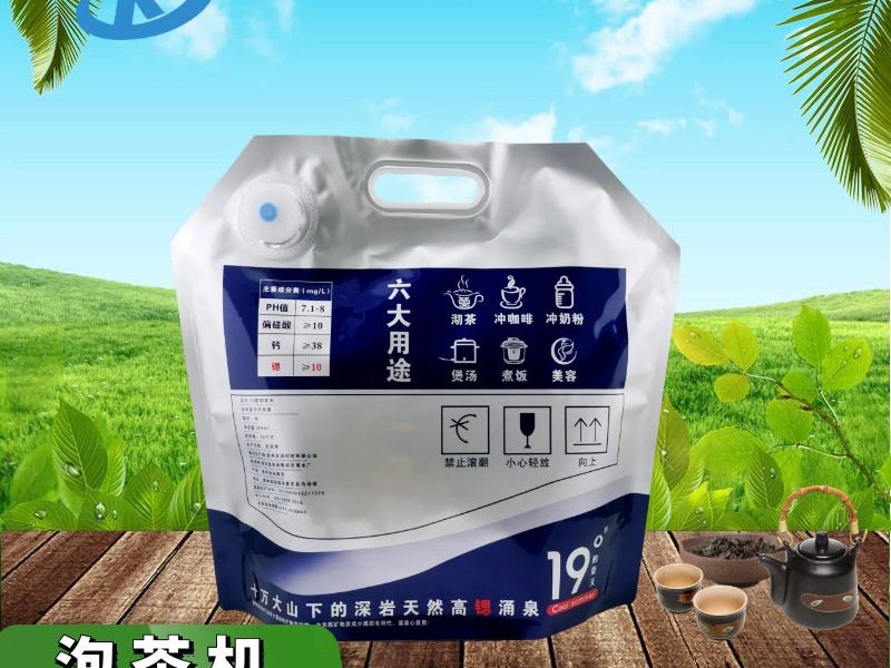 10L Aluminum Foil Stand-Up Pouch with Spout and Handle for Tea Brewers